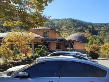 청송 주왕산의 숨은 보석, 약수촌에서 즐기는 건강한 백숙 맛집 탐험기