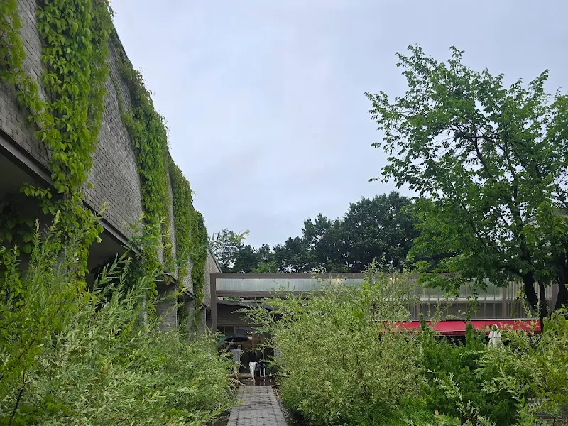 카페 건물 외벽을 따라 담쟁이 넝쿨이 우거진 모습