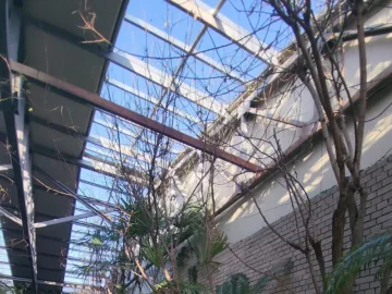 혼자 떠난 청도, 아보카도 커피 한 잔에 힐링하는 이서면 맛집 버던트 방문기