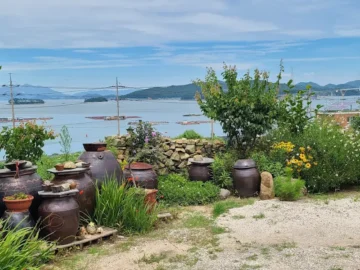 바다 뷰에 취하고 맛에 정신 놓는 완도 신지 맛집, 여기 완전 레전드다!