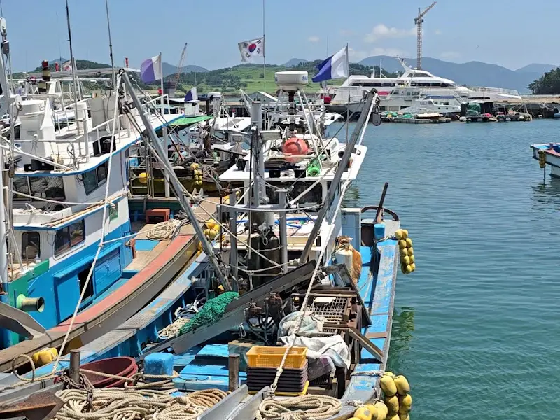 국동항구의 고깃배들