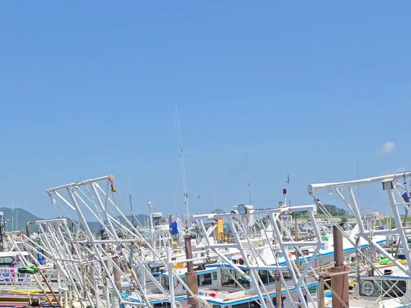 국동항구의 고깃배들