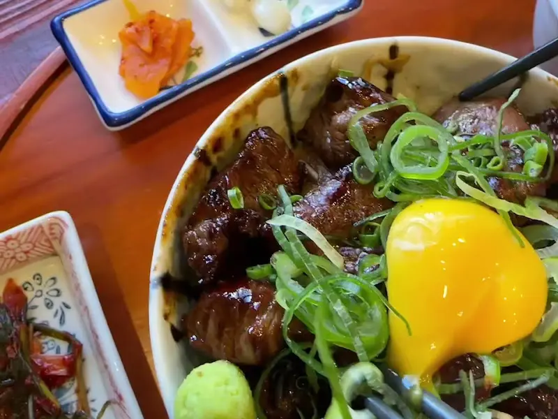 스테키동 근접샷