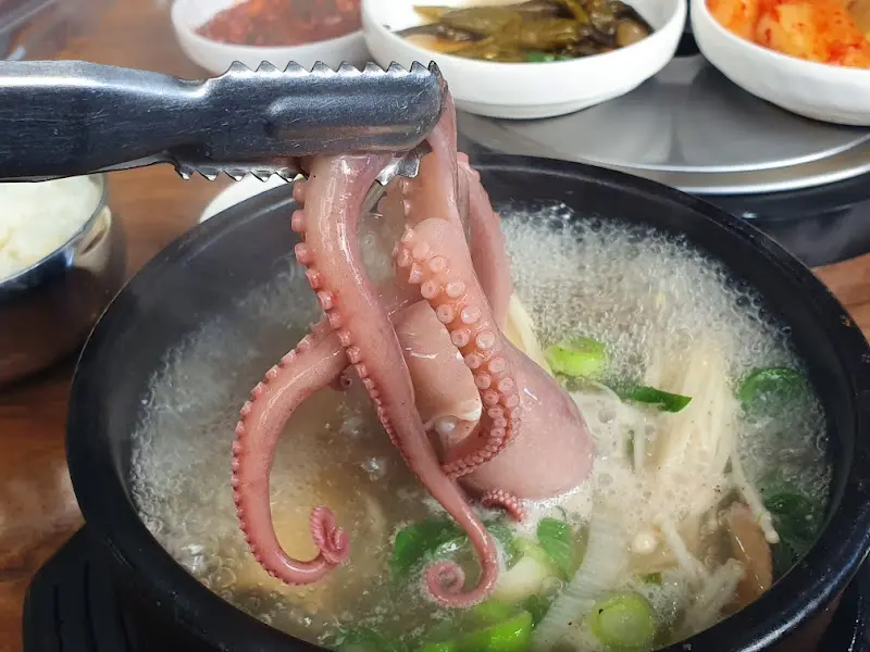 집게로 낙지를 들어올리는 모습