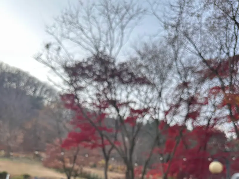 앙상한 겨울 나무 가지 사이로 보이는 유니스의 정원 풍경