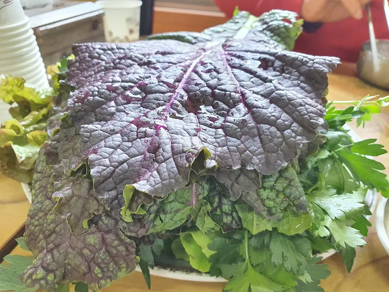 싱싱한 쌈 채소