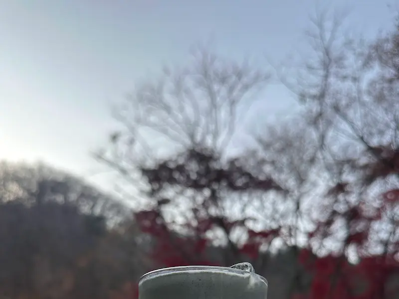 유리잔에 담긴 음료