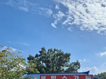 한탄강 뷰 맛집, 연천 ‘불탄소가든’에서 즐기는 인생 민물 매운탕 혼밥기