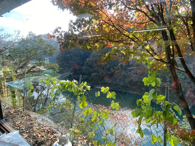 식당에서 바라본 풍경