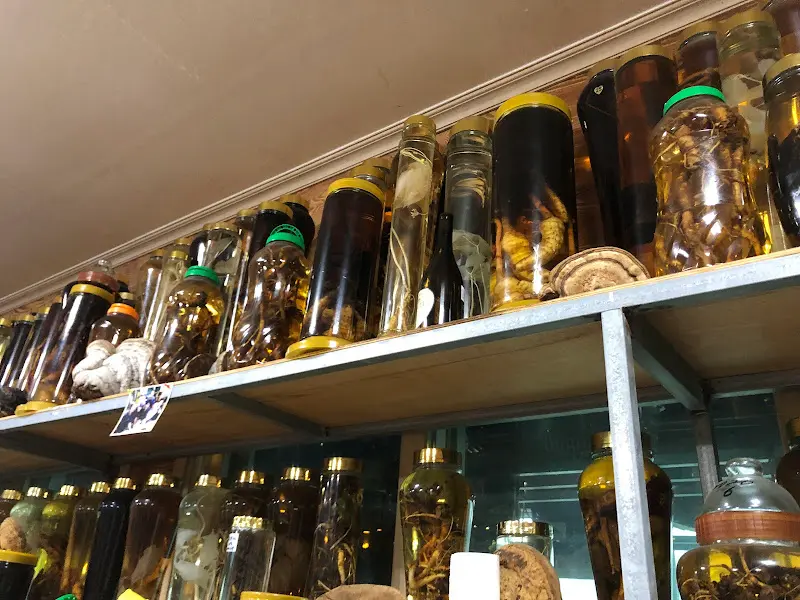 벽면을 가득 채운 담금주 병들