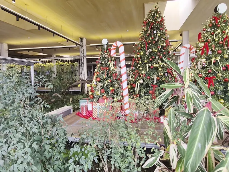 카페 내부의 크리스마스 장식