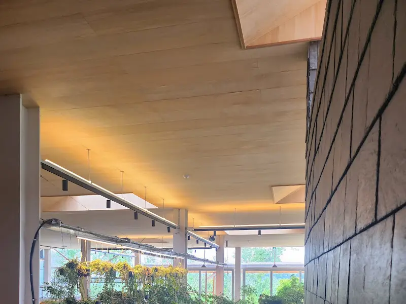 카페 내부 천장