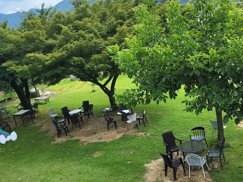 넓은 잔디밭에 놓인 테이블과 의자