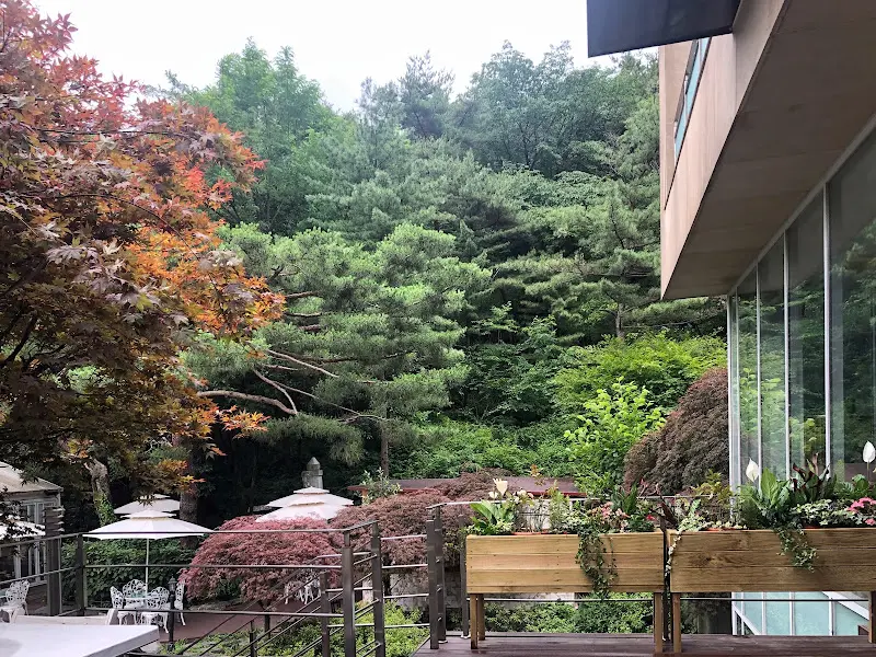 분위기 좋은 카페 내부 사진