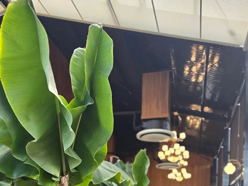 천장에 매달린 화려한 샹들리에