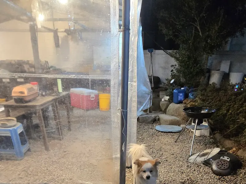 유서방 마스코트 강아지