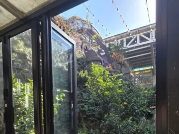 서귀포 올레시장, 남매네흑돼지에서 맛보는 잊지 못할 제주도 흑돼지 맛집