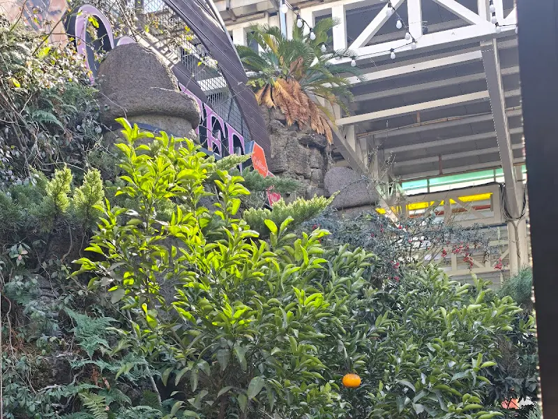 남매네흑돼지 서귀포점 앞에 꾸며진 푸릇푸릇한 정원