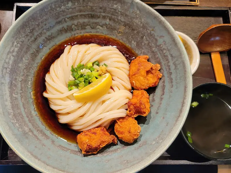 가라아게 붓가케 우동