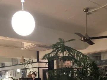 뇌세포를 깨우는 맛, 비스트로퍼블릭에서 찾는 어은동 미식의 지역적 맛집!