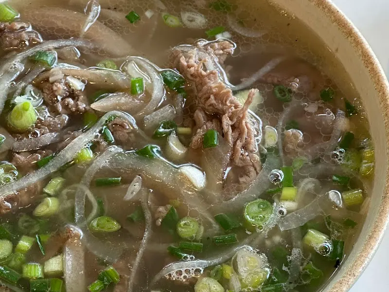 양지 쌀국수의 클로즈업 사진. 맑은 육수와 양지, 파가 조화롭게 담겨 있다.