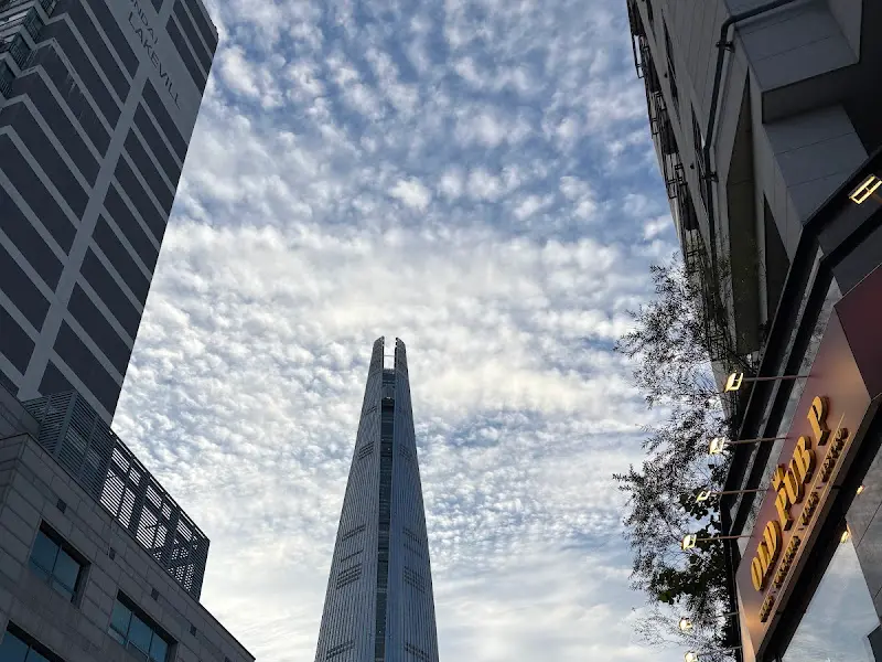 석촌호수에서 바라본 롯데월드타워