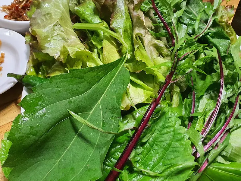 신선한 쌈 채소