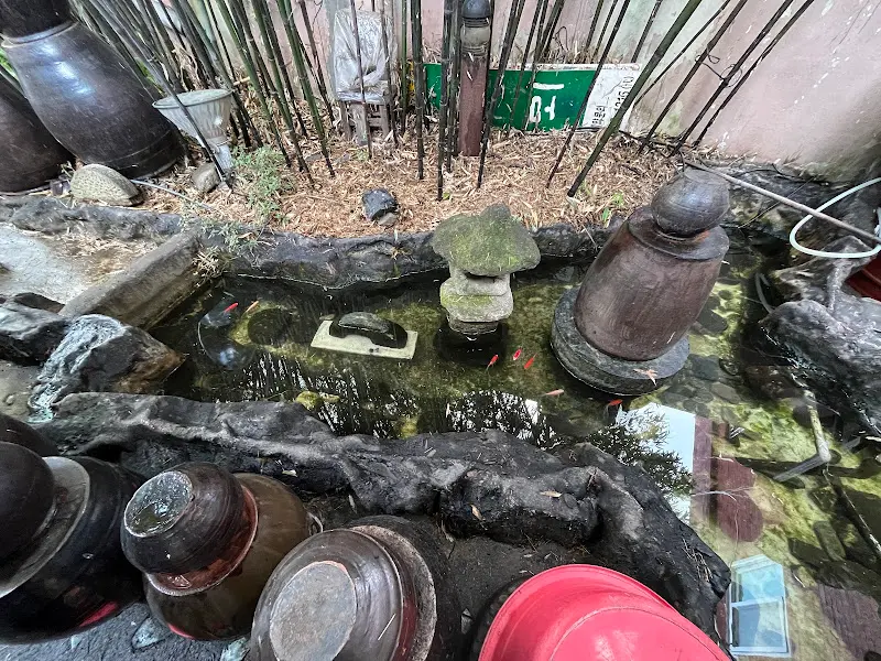 금붕어가 사는 연못