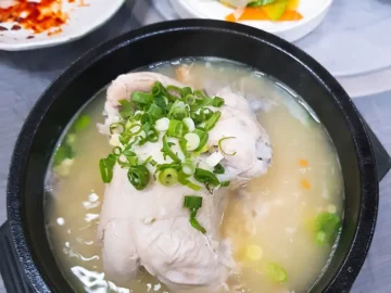 남원에서 펼쳐지는 뜨거운 과학 실험, 인산인해의 보양식 미식 탐험기