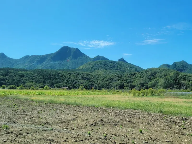 나리분지를 병풍처럼 둘러싼 울창한 산세