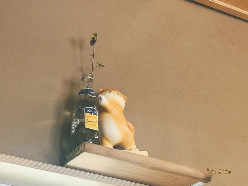 가게 내부 장식