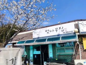 장성에서 맛보는 깊고 진한 육개장의 향수, 벚나무집: 추억을 되살리는 맛있는 경험