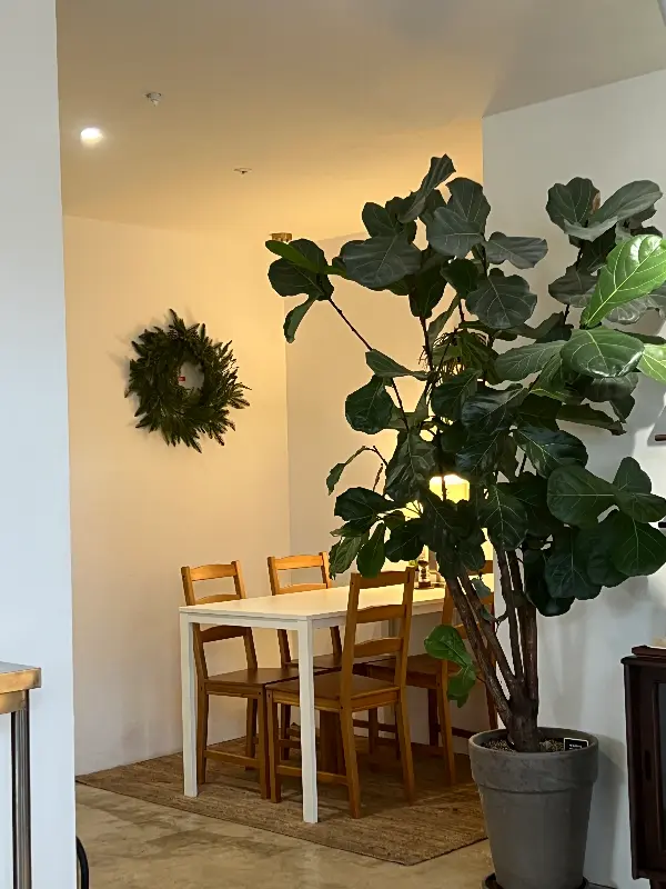 이진리 커피하우스 내부 인테리어, 테이블과 의자, 식물 장식