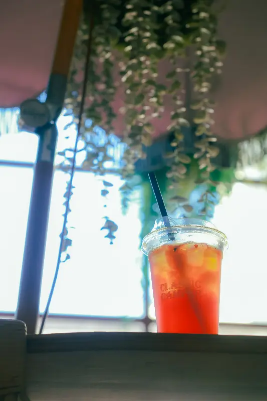 국화향기에서만 맛볼 수 있는 특별한 음료.