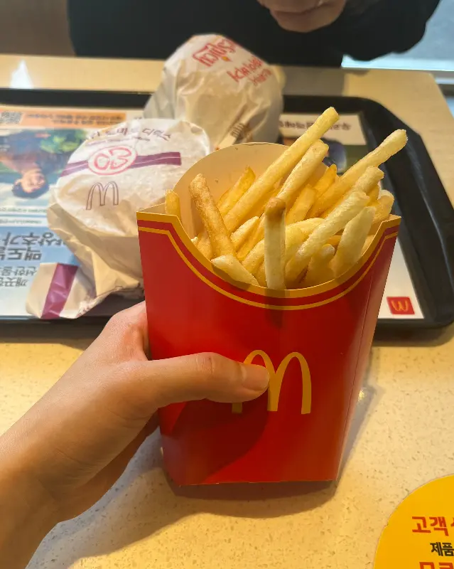 갓 튀겨져 나온 감자튀김