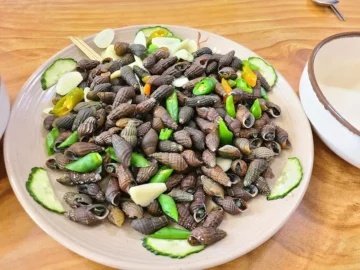 산청에서 맛보는 올갱이의 향연! 현지네고동, 경남 향토음식 맛집 레전드!