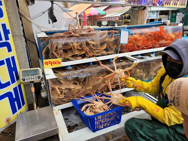 대게 고르는 모습