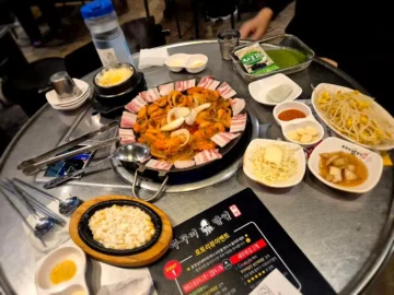 매콤한 추억 한입, 성신여대 쭈꾸미 맛집 골목에서 피어나는 용산 쭈꾸미 달인의 이야기