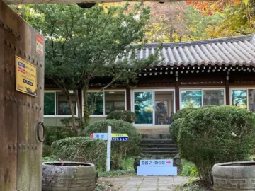 관악산 정취와 매운 풍미, 과천 팔팔낙지에서 찾는 힐링 맛집