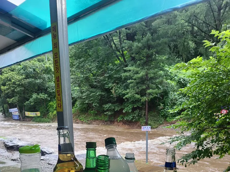 계곡과 숲이 어우러진 풍경