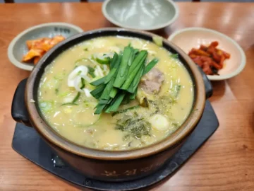뇌를 깨우는 한 그릇, 운정 설렁탕 맛집: 해장 맛집, 분*성!