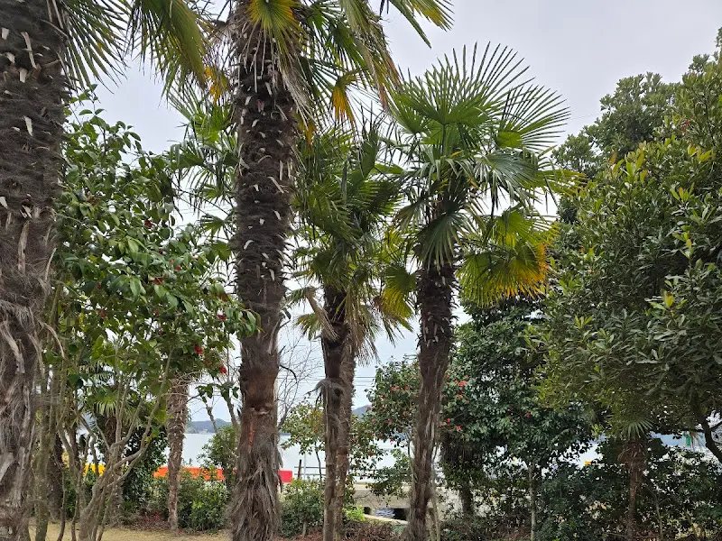 식당 주변 풍경