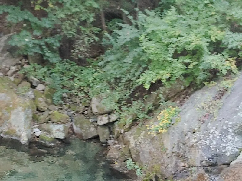 시원한 계곡 풍경