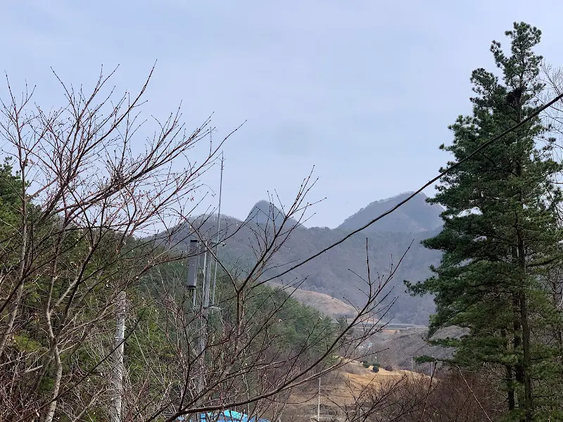 식당에서 바라본 풍경