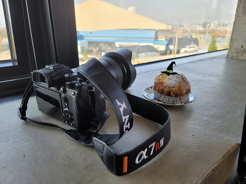 할로윈 빵과 카메라