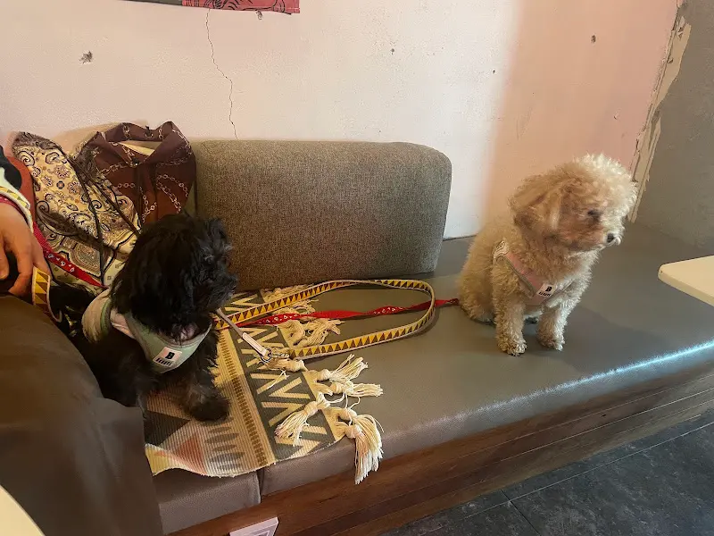 애견 동반 좌석