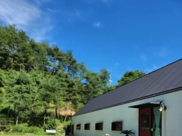 금산의 숨겨진 보석, 리누갤러리에서 만나는 예술적인 풍미의 J컬쳐앤비즈 맛집 기행