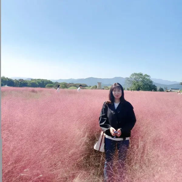 고령 대가야테마파크 핑크뮬리