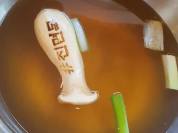 순천에서 맛보는 깊은 감칠맛, 이대성의진면목: 가족 외식으로 제격인 샤브샤브 맛집 탐방기