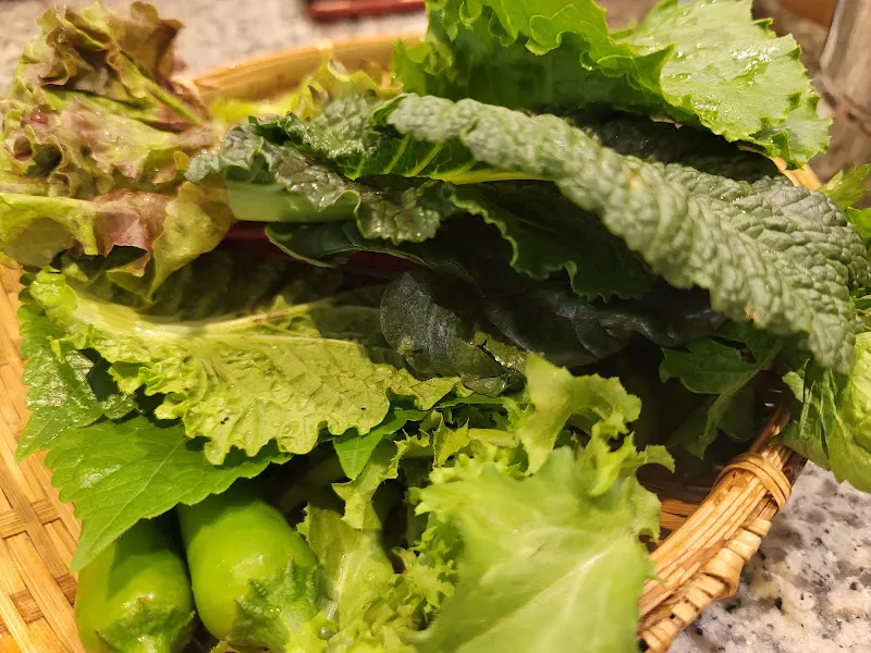 싱싱한 쌈 채소